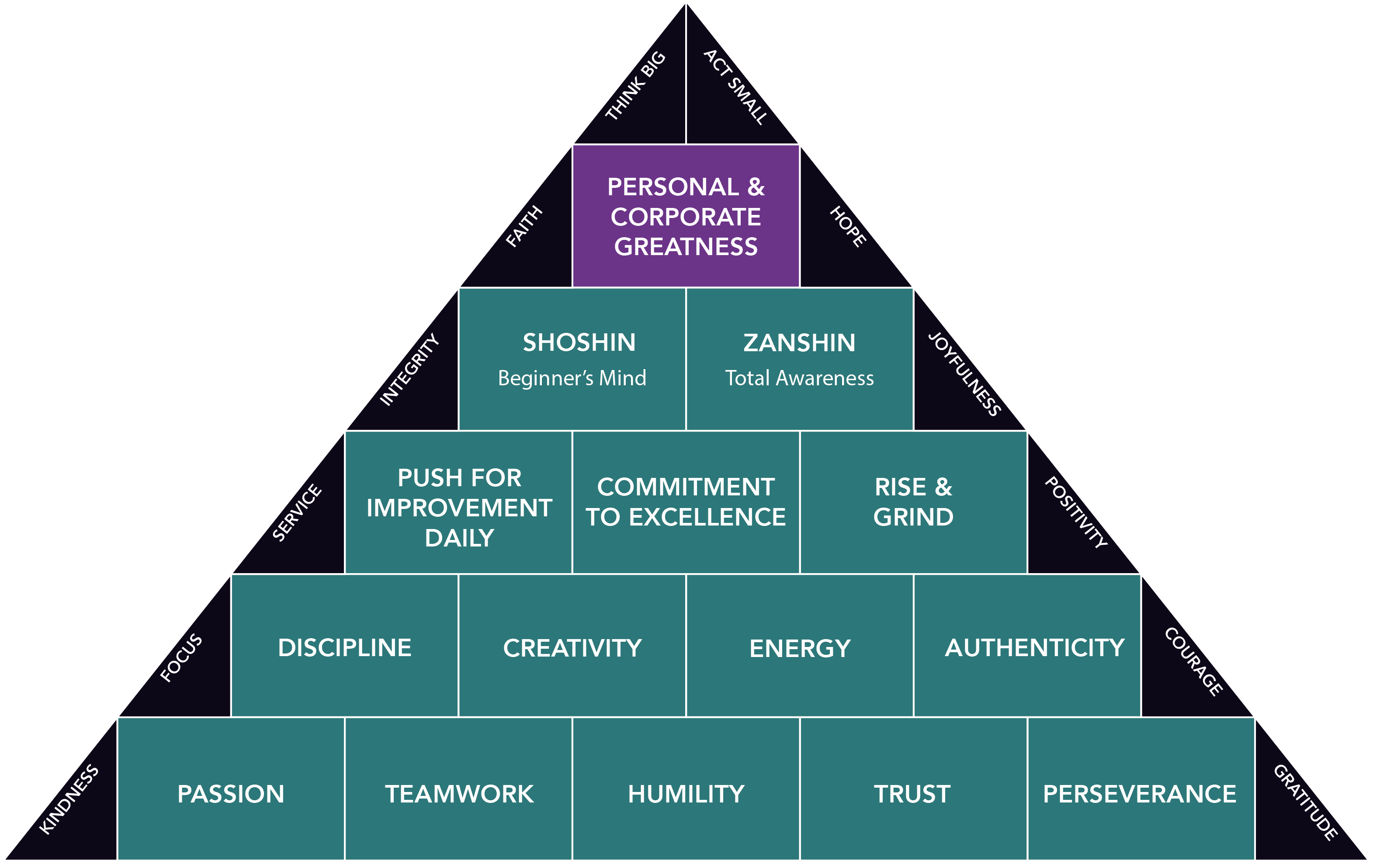 GeoVera pyramid of success