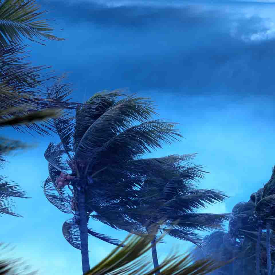 Hurricane/Tropical Storm